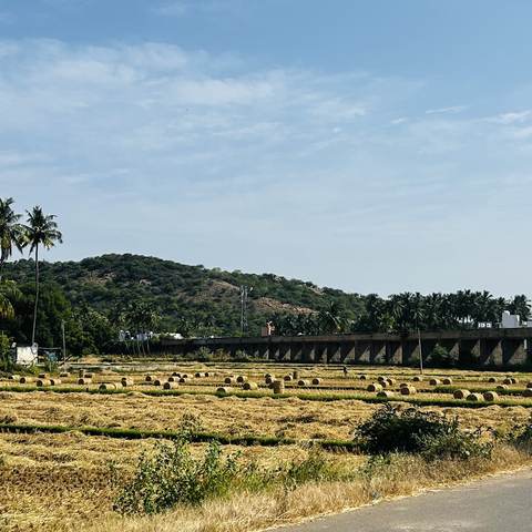 Straw bales in a field beneath a distant hill ridge.