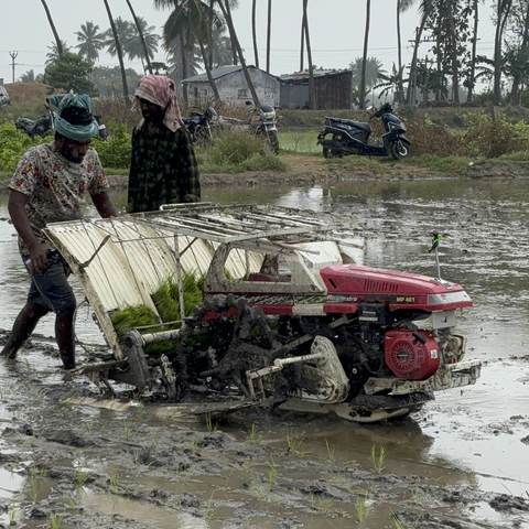 A mechanical transplanter at work in a flooded paddy field.