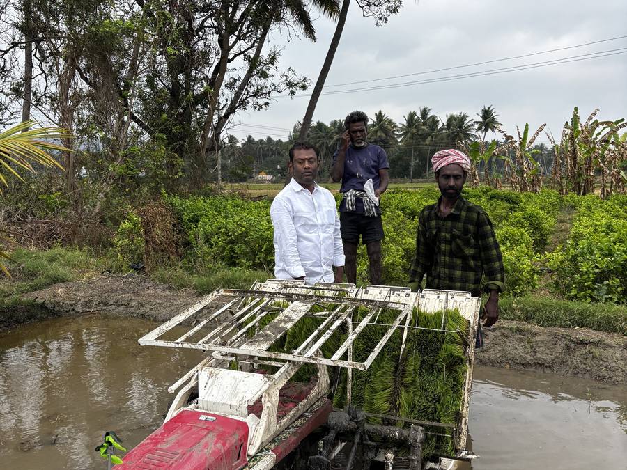 A mechanical transplanter carrying paddy seedling mats into the field.
