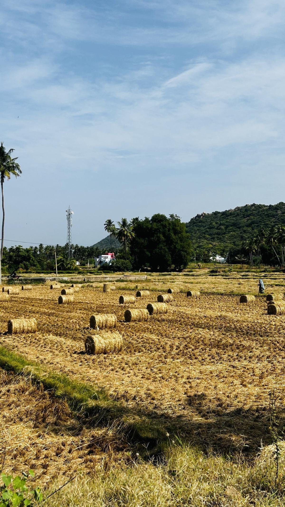 A harvested field with straw bales and a hill ridge behind.