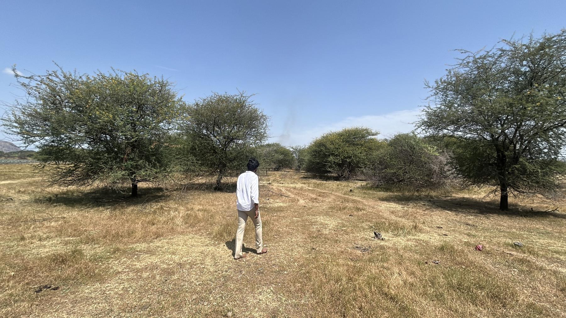 A man walking a dirt track through open scrub.