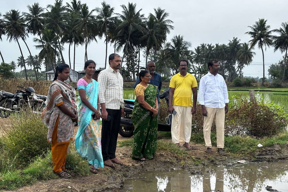 Foundation staff and farmer leaders reviewing a transplanted field.