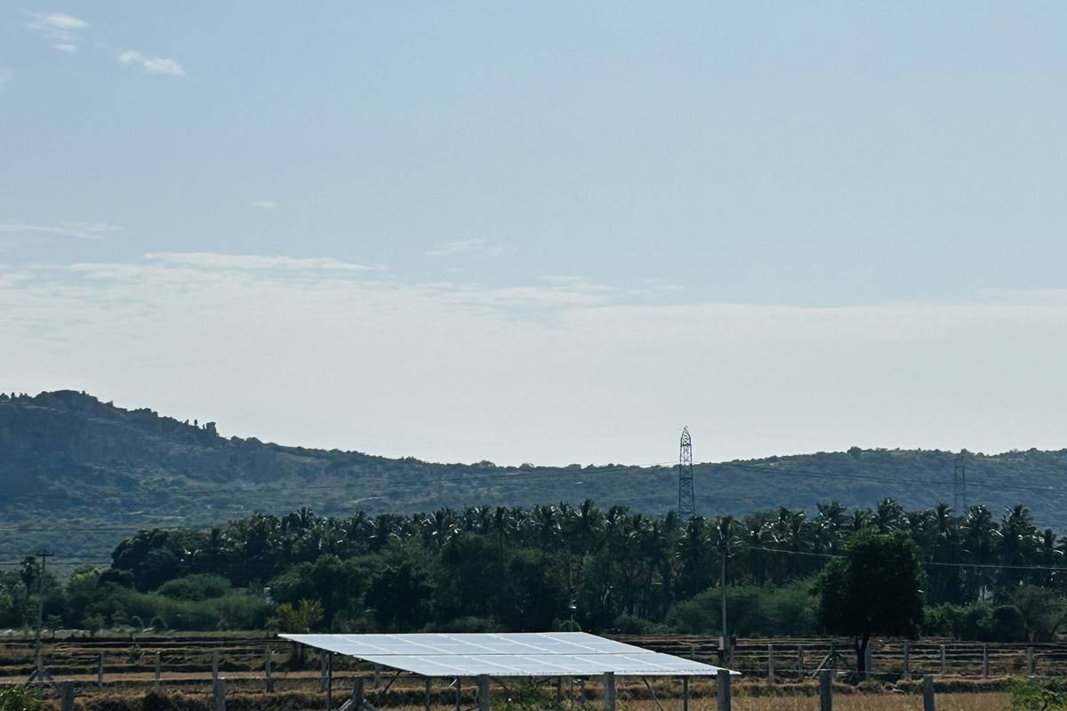 Ground-mounted generation beside cultivated land.