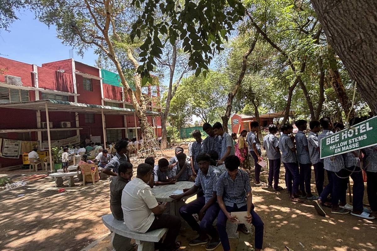Young people at a session on rural livelihoods.