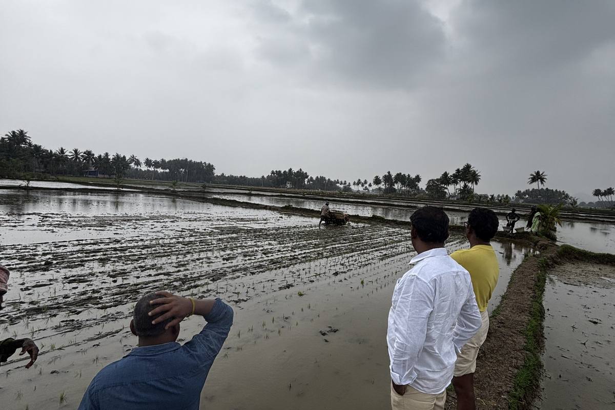 Farmers watching a field being tilled ahead of the season.